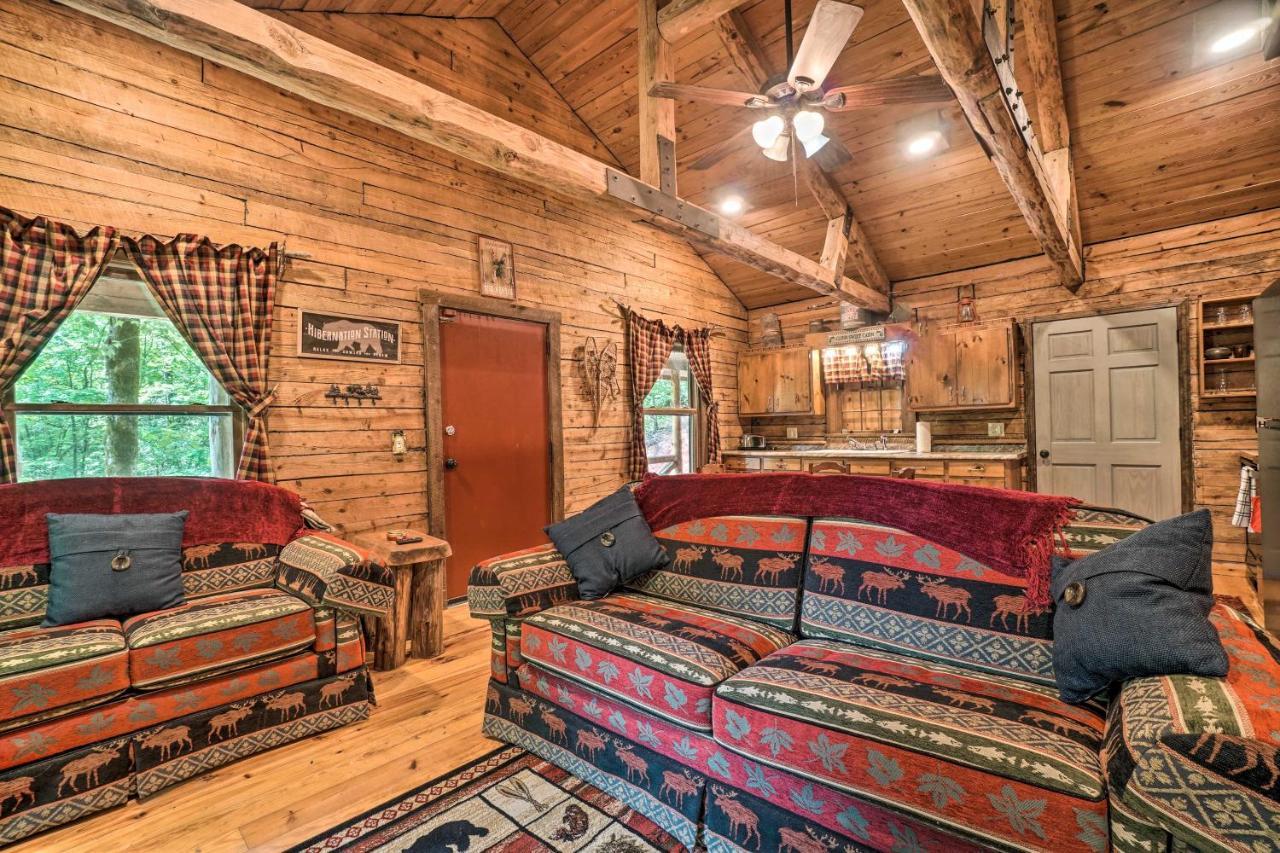 فيلا North Georgia Mtn Escape With Hot Tub And Games! Sautee Nacoochee المظهر الخارجي الصورة